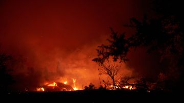 El incendio  Zogg en el condado de Shasta, California, en septiembre de 2020.