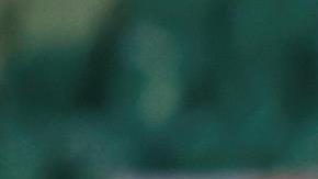 El capitán del Palmeiras presente en la Semifinal de la Libertadores