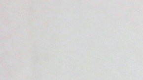 Bárbara Mori sonríe