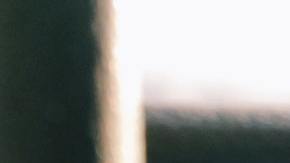 Los cactus en el Feng Shui