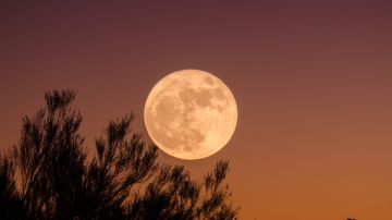 Luna de la Cosecha 2021: cuándo, dónde y cómo ver la luna llena de septiembre en Estados Unidos y México