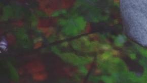Los mejores días de otoño