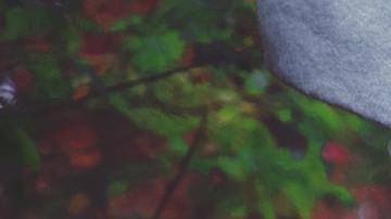 Los mejores días de otoño