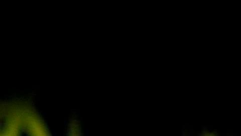 El FC Barcelona terminó empatando frente al Cádiz en la sexta fecha de LaLiga.