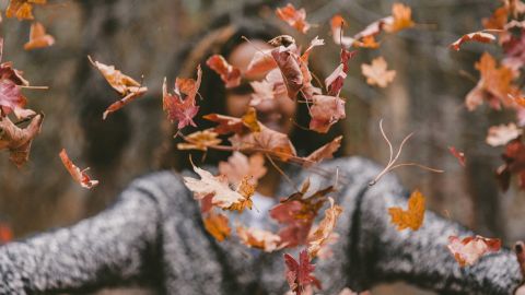 Las energías el equinoccio de otoño impactan en todos los signos.