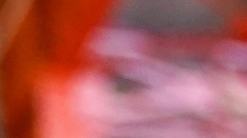 Mes de Herencia Hispana: los números de los hispanos en EE.UU.