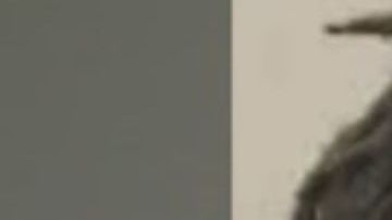 Cortez Tiaral Evans presuntamente mató a la bebé de su novia a golpes.