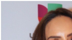 Inés Gómez Mont y Cher