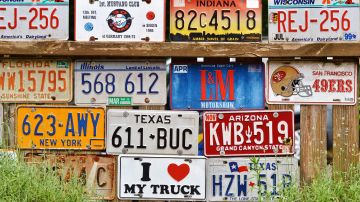 DMV California: cómo solicitar placas de matrícula personalizadas - La  Opinión