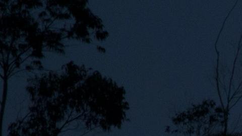 La luna llena de septiembre es conocida como Luna de la Cosecha.