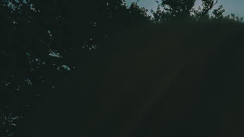 La luna llena en Piscis impacta en el lado espiritual de los signos.