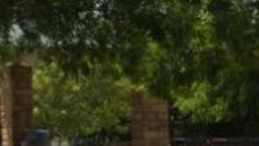 El incidente ocurrió en Arlington, Texas.