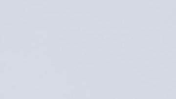 Los cheques de estímulo salvaron a 11 millones de personas de la pobreza-pexels-karolina-grabowska-4968651.jpeg