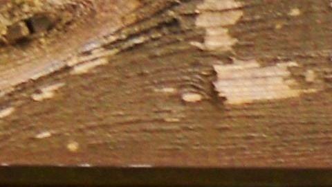 Foto de varias placas de matrícula fijadas a una pared