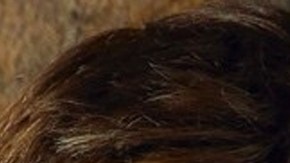 William Levy, Maite Perroni, Gaby Espino y Pedro Fernández serán los presentadores de Premios Billboard 2021.