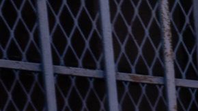 Josué Guerrero-Uribe dice disfrutar de dar ayuda a la comunidad. / Fotos: suministradas.