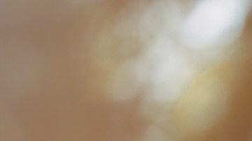 Hechizos para el amor