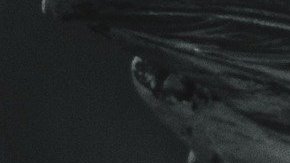 San Miguel Arcángel es el protector de los seres humanos.