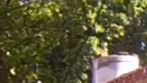 Así lucen las humildes casas donde nacieron los integrantes de los Tigres del Norte