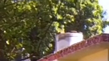 Así lucen las humildes casas donde nacieron los integrantes de los Tigres del Norte