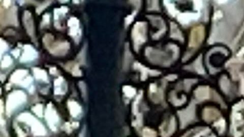 Viva Mexico!, ¡Viva Mexico!, ¡Viva Mexico!, gritó a los cuatro vientos la cónsul de México en Los Ángeles, la embajadora Marcela Celorio, en la celebración del 211 aniversario de la independencia de su país.