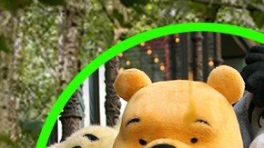 Casa Winnie The Pooh