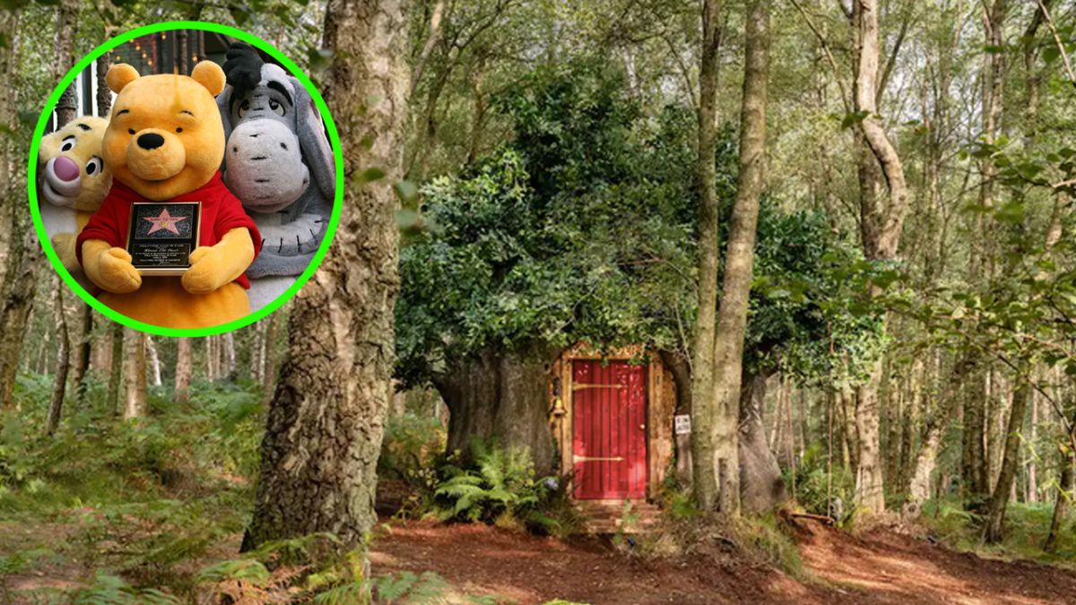 Recrean casa de árbol de Winnie the Pooh en medio de bosque y puede