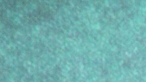 Camila Sodi | Mezcalent.