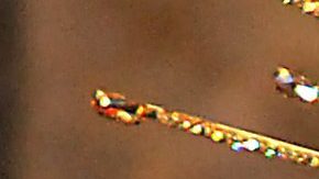 Maribel Guardia | Foto: Mezcalent