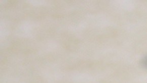 Andrea Meza | Mezcalent.