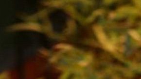 Octavio Ocaña | Mezcalent.