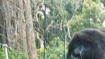 _106544711_e4922507-673a-4f2f-b91d-3479994a870b