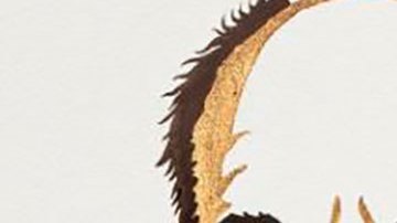 David Julius y Ardem Patapoutian fueron galardonados con el premio Nobel de Medicina 2021.