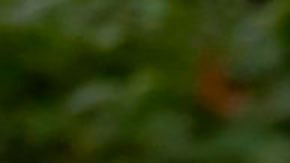 El nombre del presidente de Chile, Sebastián Piñera, ha aparecido en la filtración de los llamados Pandora Papers.