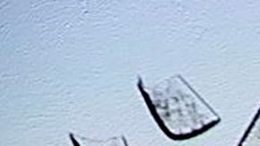 Los Pandora Papers han divulgado información de las fortunas de las personas más poderosas del planeta.