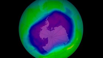 Eh 1985, los científicos encontraron un "hueco" en la capa de ozono como consecuencia de los gases CFC.