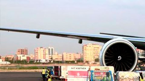 Un envío de vacunas contra la covid del mecanismo Covax aterrizó en Sudán a principios de octubre.