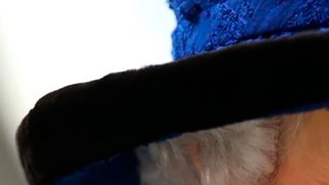 Reina Isabel II