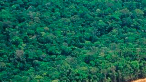 El estudio tiene en cuenta, por primera vez, las emisiones causadas por la deforestación, no solo la quema de combustibles fósiles.
