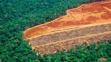 El estudio tiene en cuenta, por primera vez, las emisiones causadas por la deforestación, no solo la quema de combustibles fósiles.
