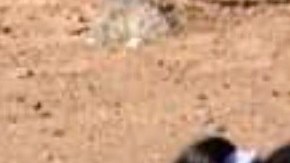 Las hermanas fueron encontradas por la Patrulla Fronteriza del Sector Yuma.