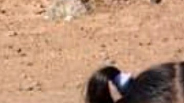 Las hermanas fueron encontradas por la Patrulla Fronteriza del Sector Yuma.