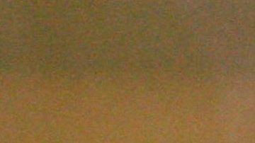 Galilea Montijo | Mezcalent.