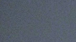 Victoria Ruffo | Mezcalent.