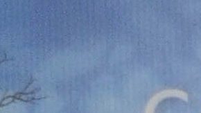 Eiza González | Mezcalent.