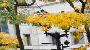 Organizaciones como Voces de la Frontera han organizado marchas para presionar a los demócratas en el Congreso.