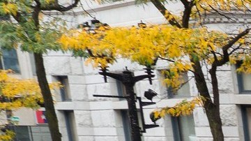 Organizaciones como Voces de la Frontera han organizado marchas para presionar a los demócratas en el Congreso.