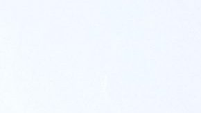 Galilea Montijo | Mezcalent.