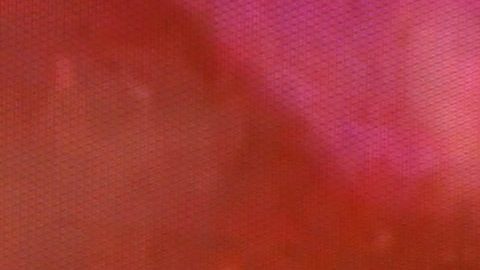 Danna Paola | Mezcalent.