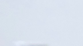 Andrea Legarreta y Galilea Montijo.